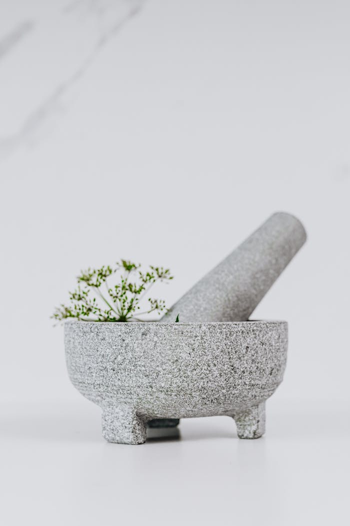 Close-up of a granite mortar and pestle with delicate herbs, isolated on a light background.